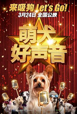 最新91精品老司机在线