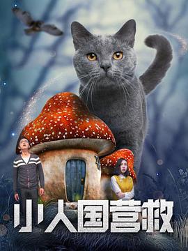 黄色动漫在线