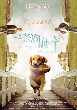 开心四播