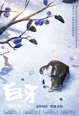欧美成人a视频