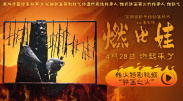 成人黄色免费影视