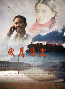 我心中的D杯侦探感