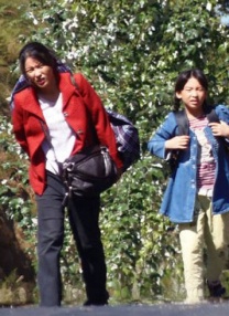 桐谷茉莉在线
