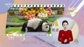 欧美日韩三级视频